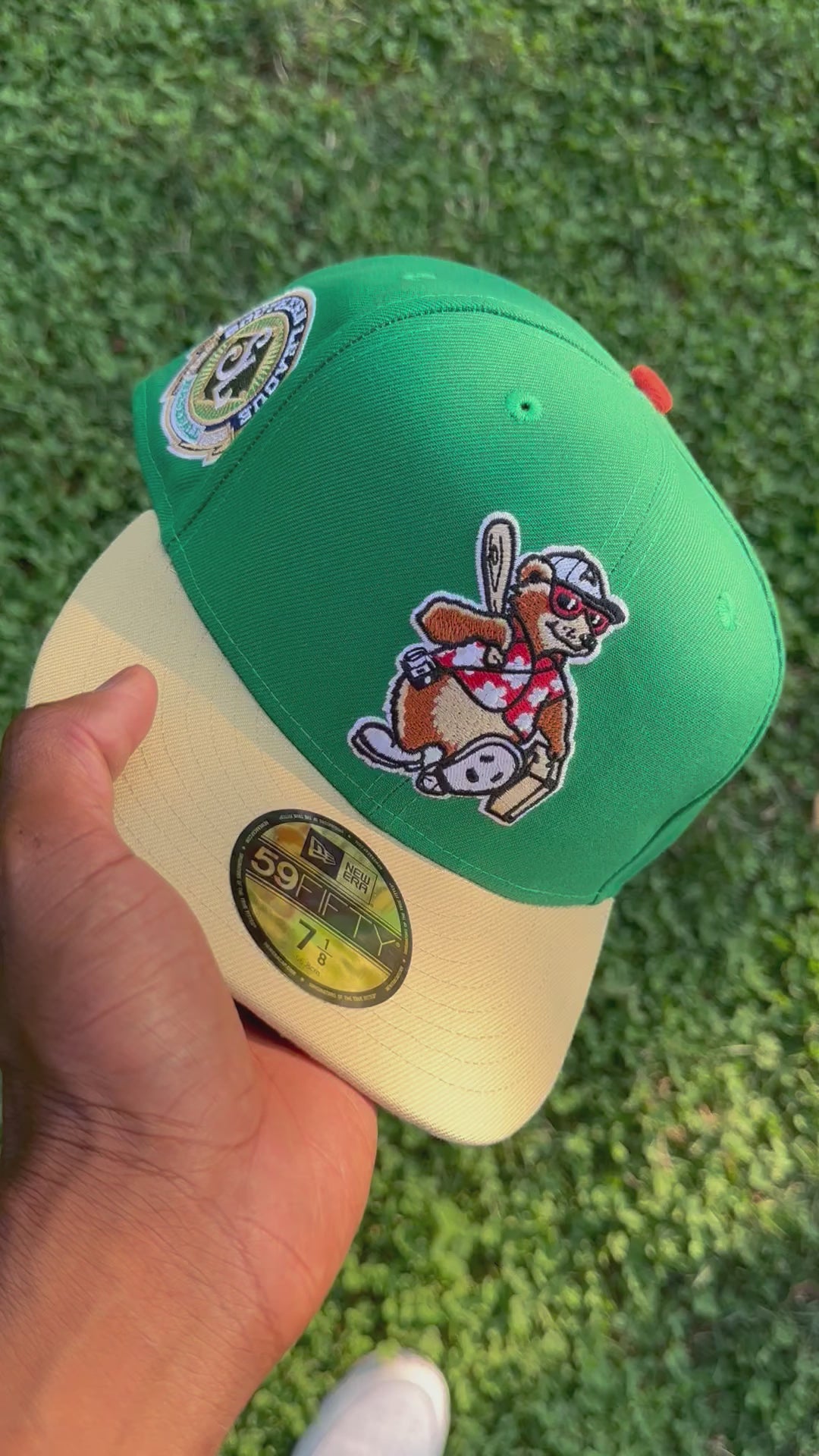 Asheville Tourists Green & Camel Grey uv MilB